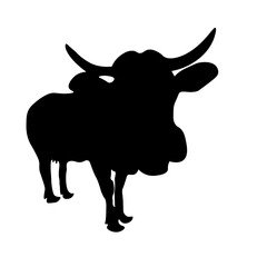 Cow Animal Illustration
