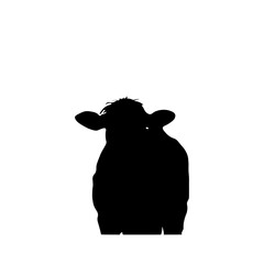 Cow Animal Illustration
