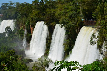 Naklejka premium アルゼンチン側から見たイグアスの滝