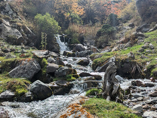 Stream and waterfall with big stones in the mountains in summer. Green forest on the shore. Vivid...