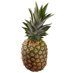 Fototapeta premium Fresh, ripe pineapple