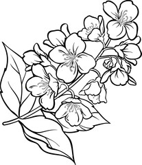 Jasmine Branch with Flowers and Leaves Outline Illustration.