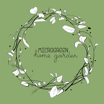 Microgreen circle  frame with peas, onion, cress, beet seeds. Healthy green seedlings. Hand drawn vector illustration