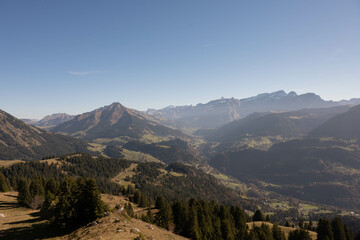 Fototapeta premium Sunny Swiss landscape of mountians and forests
