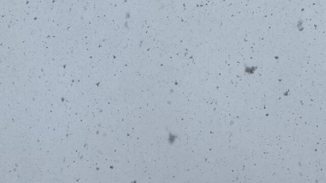 Des flocons de neige qui tombe du ciel en hiver.