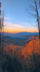 Scenic Autumn Forest View at Sunset with Mountain Range