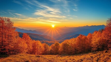 Scenic Autumn Forest View at Sunset with Mountain Range