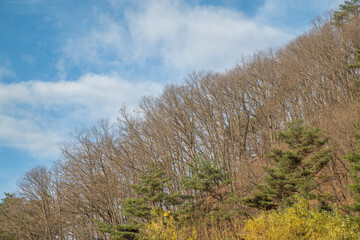 Fototapeta premium good view of korea