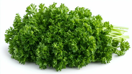 Obraz premium Fresh Curly Parsley Bunch on White Background - A vibrant bunch of fresh curly parsley with bright green leaves and crisp stems, showcasing its natural texture and color.