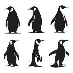 Naklejka premium Set of penguin silhouette on white background