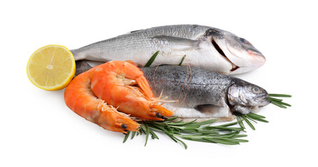 Different fresh sea food with spices isolated on white
