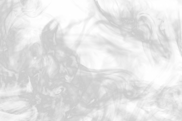 Swirls grey smoke on a transparent background.