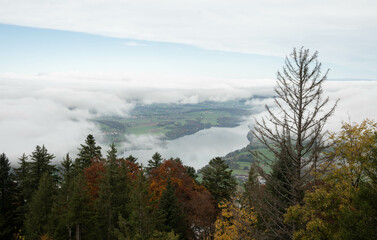 Autumn in the Alps overlooking Lake Gruyères