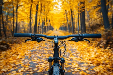 Biking through a vibrant autumn forest filled with golden leaves