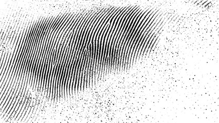 black and white Fingerprint texture on white background.