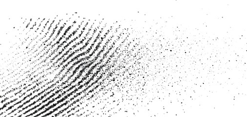 black and white Fingerprint texture on white background.