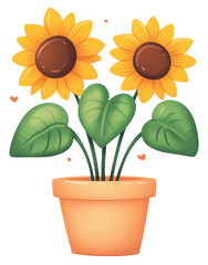 Obraz premium Bright sunflowers in a clay pot isolated on transparent background.