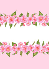 Ready-made postcard with pink background, Sakura blossoms and green leaves. Invitation, leaflet layout. Hand-drawn watercolor illustration