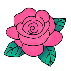 pink rose flower