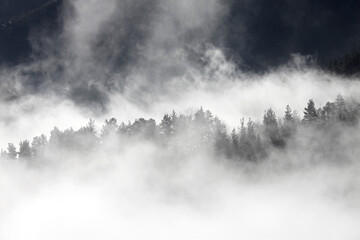 montes bosque con niebla bruma país vasco IMG_9550f