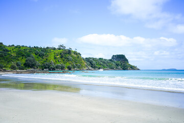 Serene Beach with Clear Water and Lush Greenery