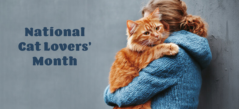 A ginger cat being hugged by a person wearing a blue sweater, celebrating National Cat Lovers’ Month in a cozy and affectionate moment.