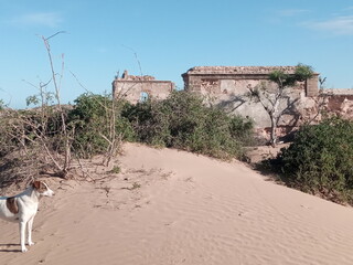 Dar Sultan Palace Ruins, Diabat, Essaouira, Morocco