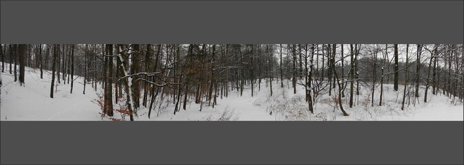 Forests with deciduous trees and paths covered with white snow on winter frosty time - natural...