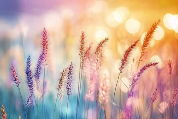 Fototapeta premium Blurred Background of Tall Grasses in the Meadow at Sunrise or Sunset. AI generated illustration