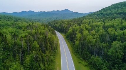 Obraz premium A scenic high-angle view of a lush green forest with a straight road slicing through the middle.