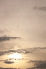 landscape with river