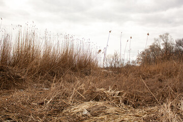 Obraz premium landscape with river