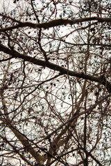 landscape with river