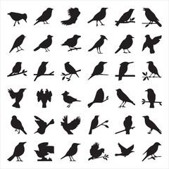 set of vector icon bird silhouette	

