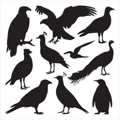 set of vector icon bird silhouette	
