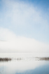 Brume épaisse sur le lac