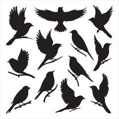 set of vector icon bird silhouette	
