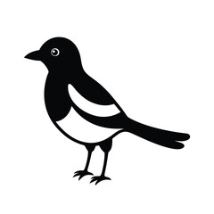 A Cute Magpie Vector Illustration