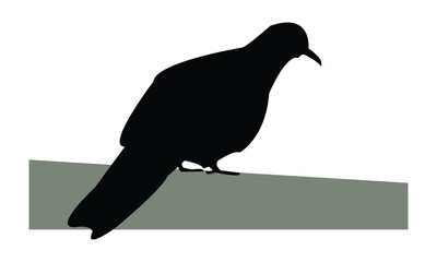 Spotted Dove Silhouette Design  And Vector Illustration. 