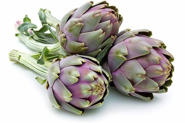Obraz premium Organically grown purple artichoke