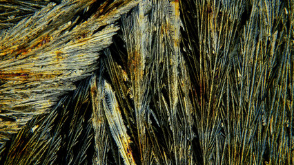 Beautiful formed of crystals Paracetamolum solution under a microscope, the effect of polarization...