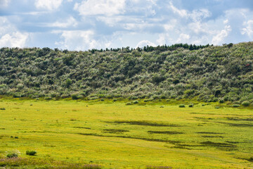 Fototapeta premium Kusasenri is a vast grassy plain in Kumamoto Kyushu Japan