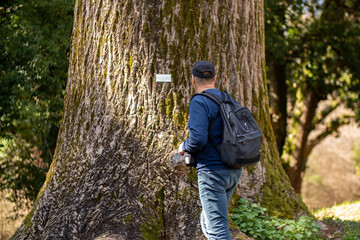 An Enthusiastic Explorer Observing a Majestic Tree with a Camera in the Great Outdoors