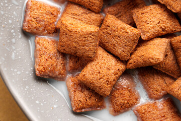 Close-up of crispy chocolate cereal pillows soaked with milk in a gray bowl. Sweet and crunchy breakfast 