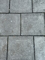 Pavers on a sidewlak