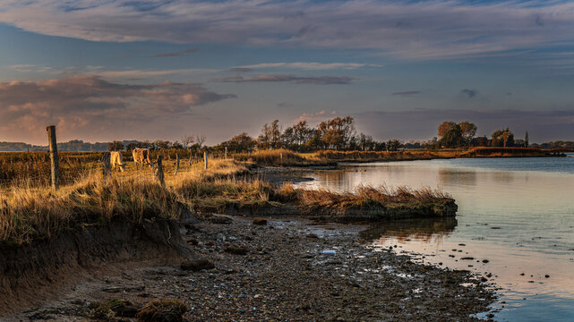 An der Schlei