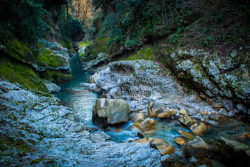 A tranquil river flows through a mossy rocky gorge, creating a serene landscape