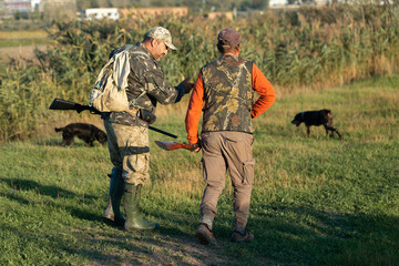 Mature hunter man holding a shotgun and walking through a field