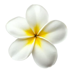 Selbstklebende Fototapeten single plumeria flower isolated on transparent background. top view, PNG © Pixel Stock