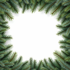 Pine Border Frame White Background Copy Space Area